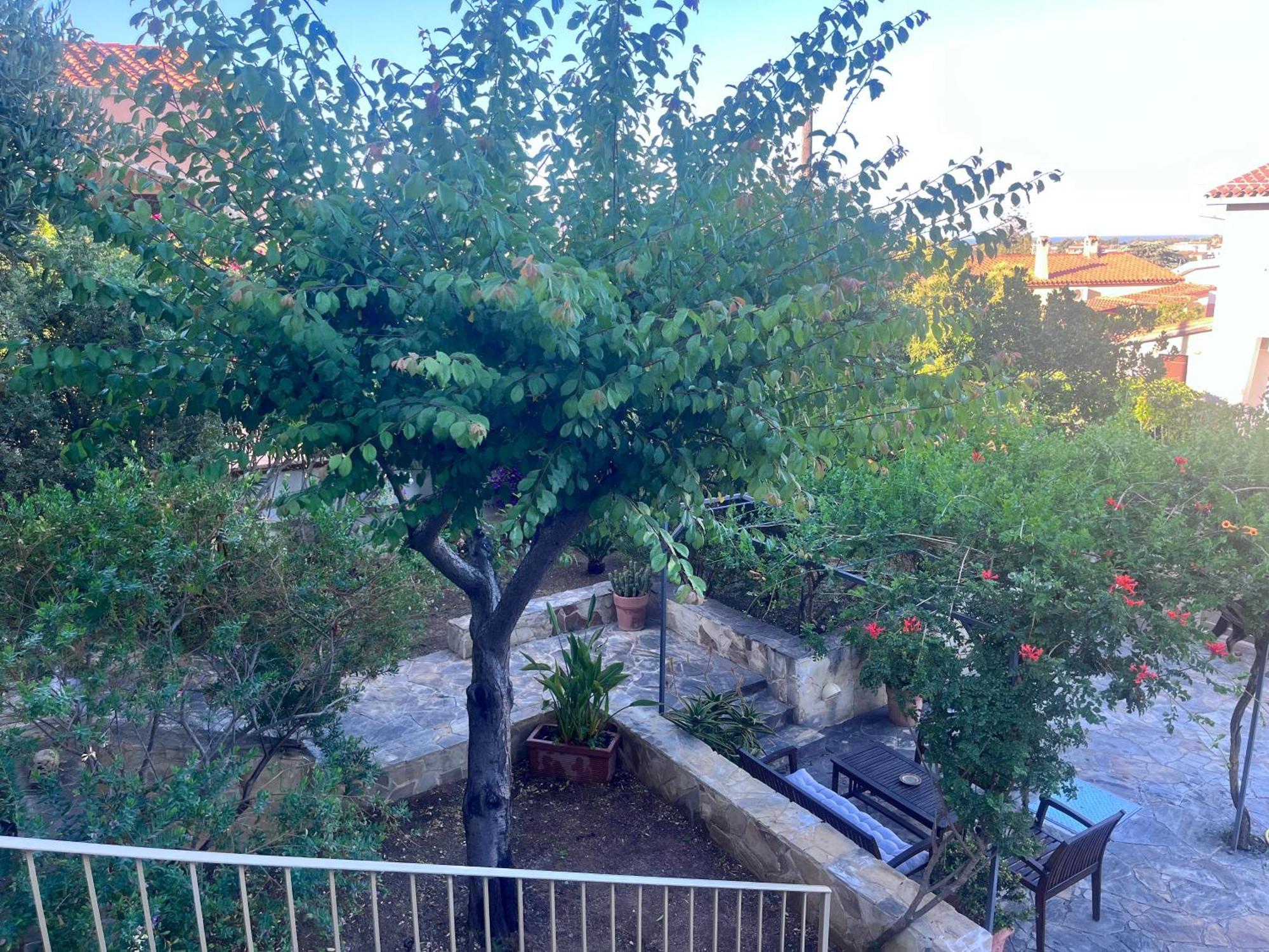 Villa Fatta Di Sogni Pula Extérieur photo